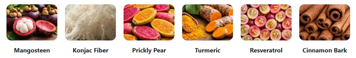 metaburn ingredients